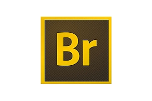 Bridge 2022 -64位安装包 windows安装版