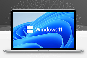Windows 11 21H2 原版直链下载 2022年5月更新，Windows 11 消费者版