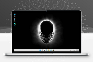戴尔外星人win11镜像,无需TMP2.0验证,不限机型!