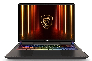 微星原厂系统泰坦16 Vector 16 HX AI预装WIN11-24H2-家庭中文版带F3恢复功能